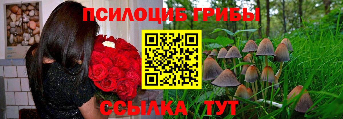 Псилоцибиновые грибы MAGIC MUSHROOMS  купить наркотики цена  Котлас  Вход с VPN 
