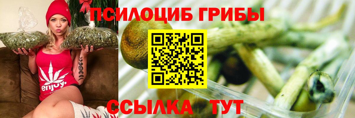 Псилоцибиновые грибы прущие грибы Котлас