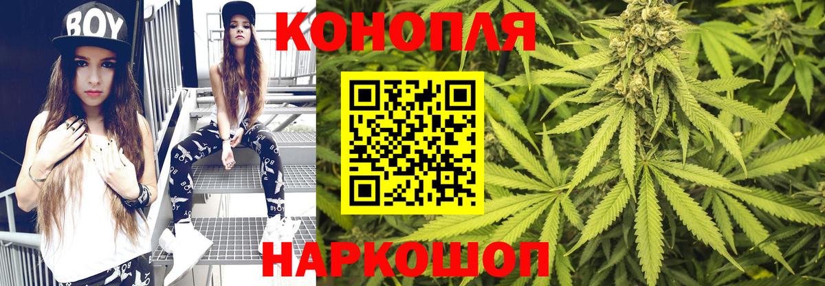 Бошки марихуана Bruce Banner  Бошки Шишки индика  Марихуана план  Вход с VPN  Котлас  Канабис марихуана 